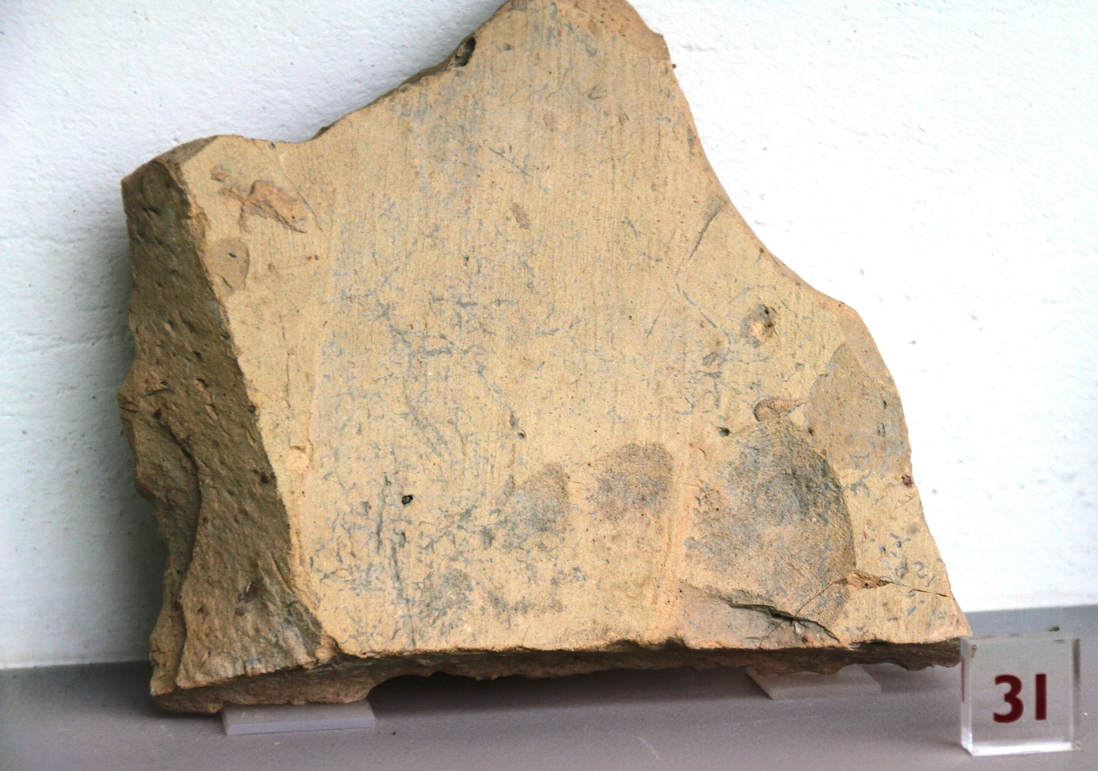 The Discovery That Changed Everything (image credits: wikimedia)