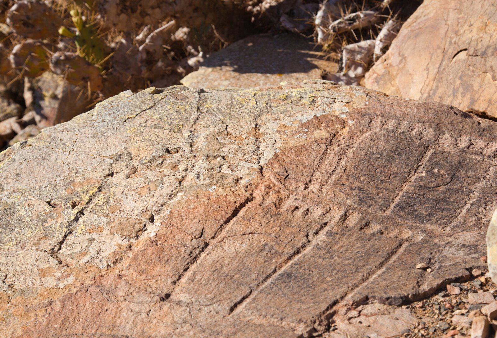 Decoding the Ancient Landscape (image credits: wikimedia)