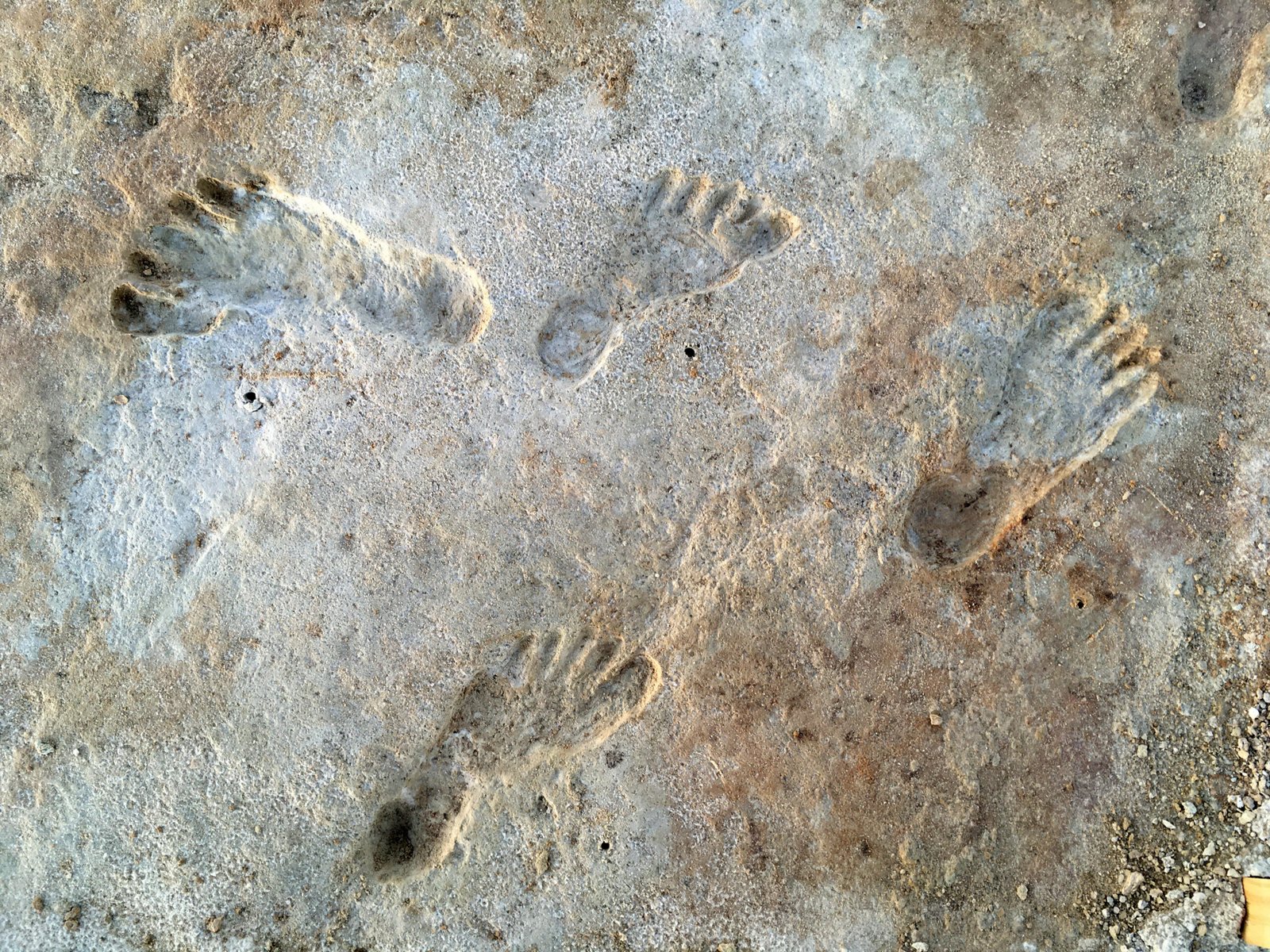 How Were the Footprints Preserved? (image credits: wikimedia)