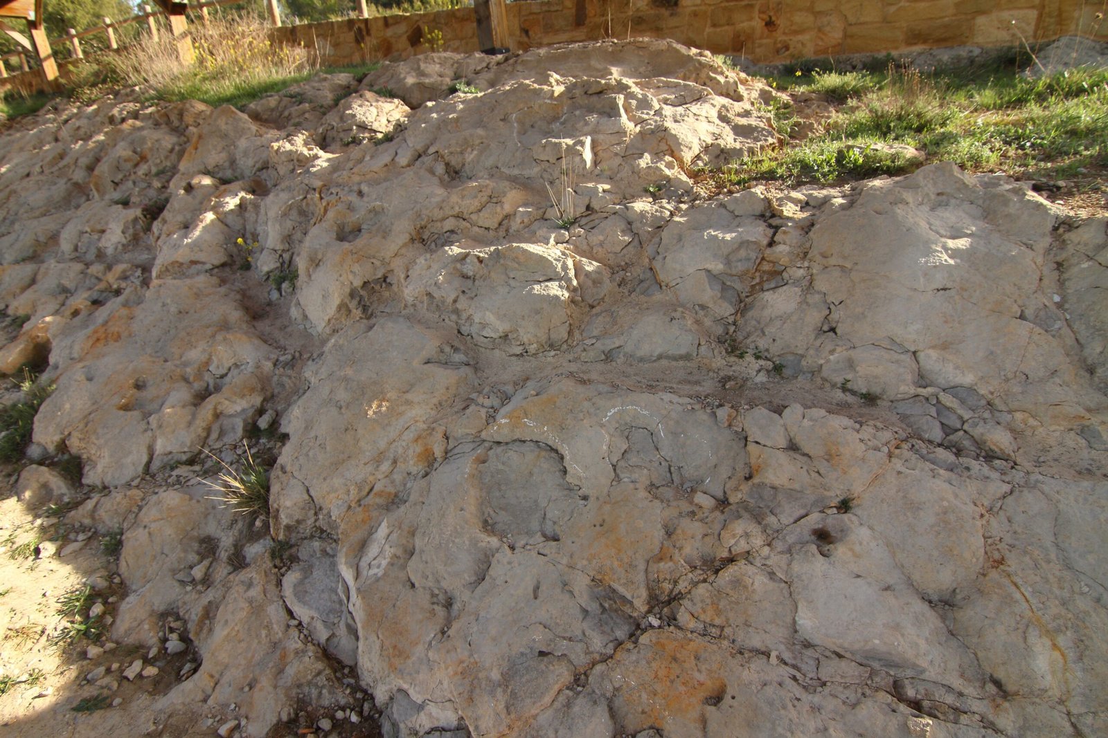 Animals and Humans: An Ancient Encounter (image credits: wikimedia)
