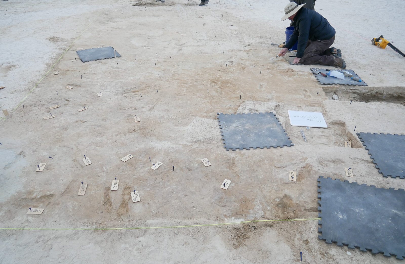 White Sands Footprints: Did Humans Reach the Americas Earlier Than We Thought?