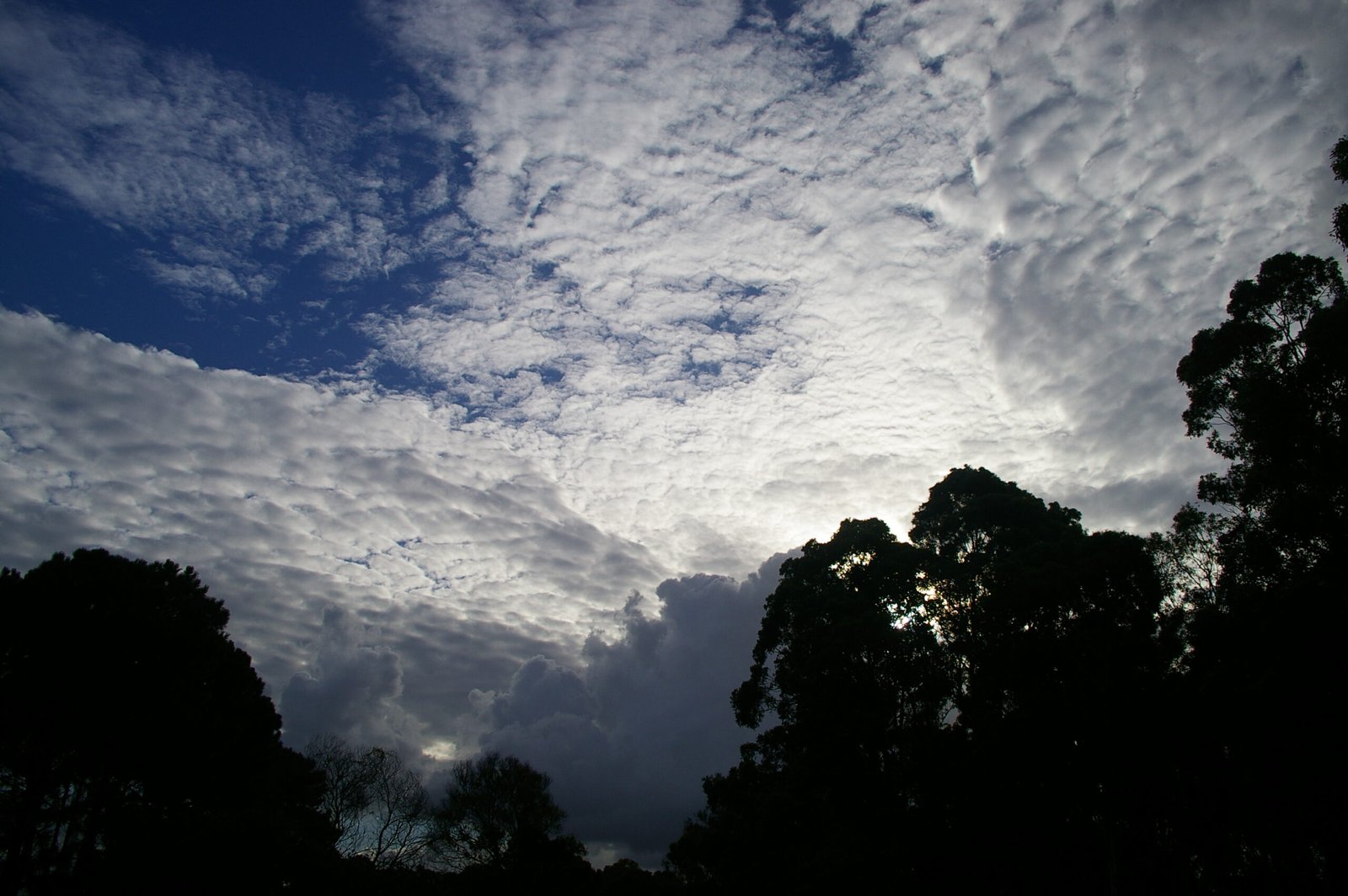 Clouds: Nature’s Climate Regulators (image credits: wikimedia)