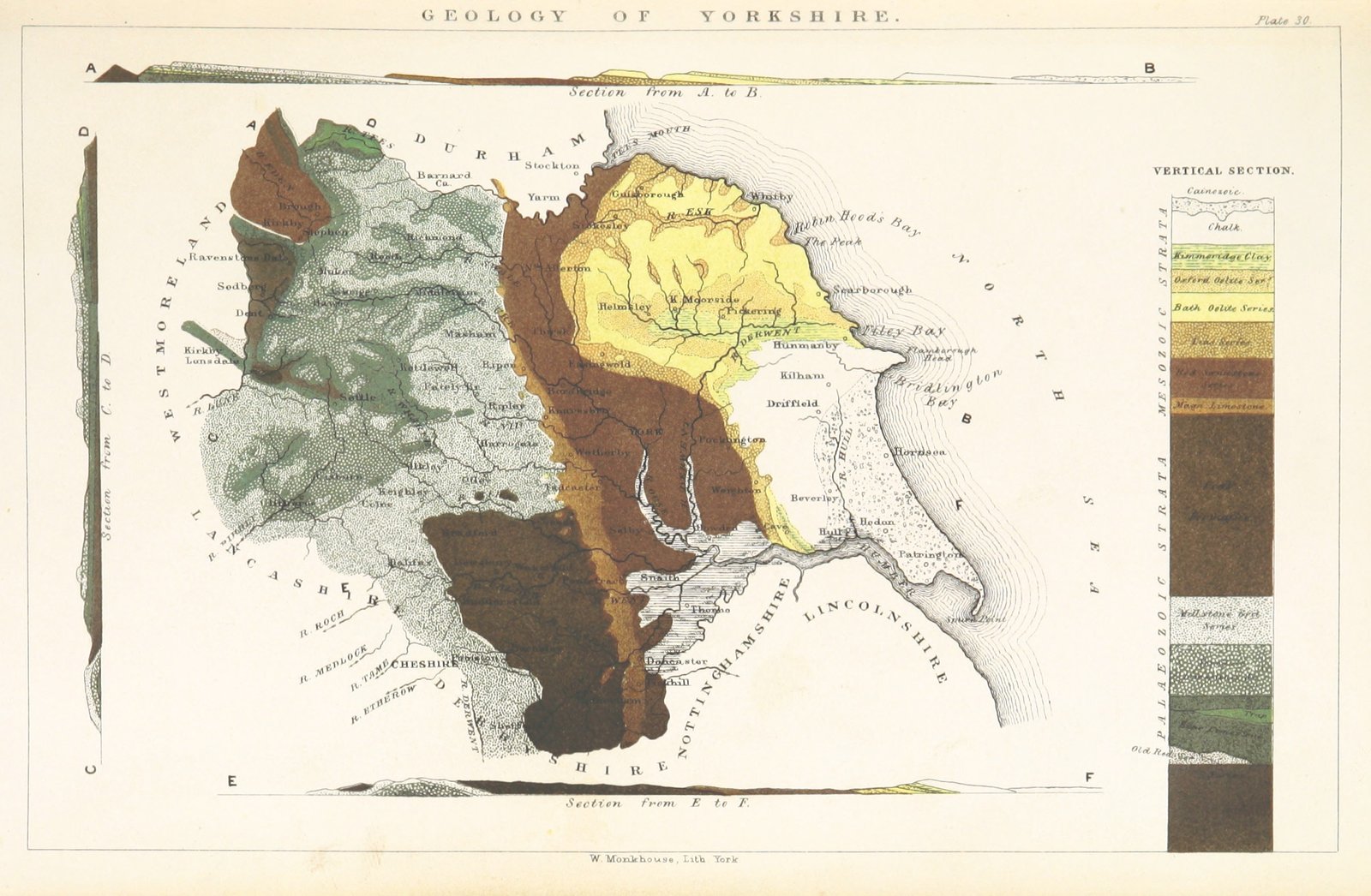 The Role of Plate Tectonics in D.C.’s Ancient Seas (image credits: wikimedia)