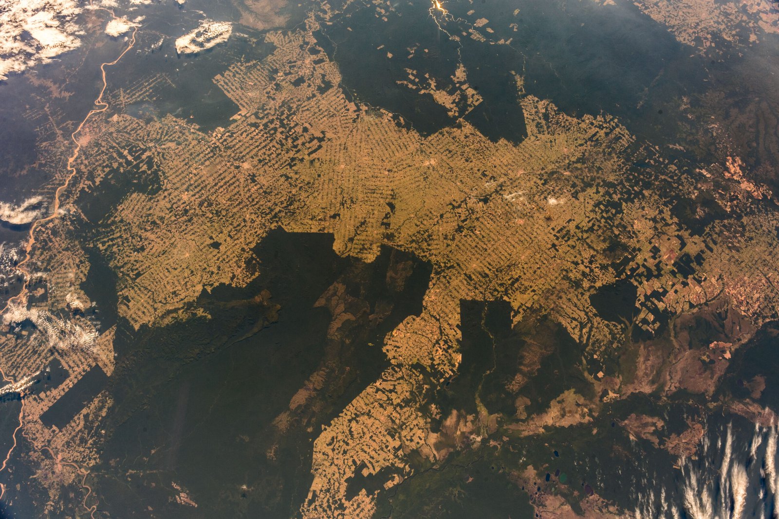 The Relentless March of Deforestation (image credits: wikimedia)
