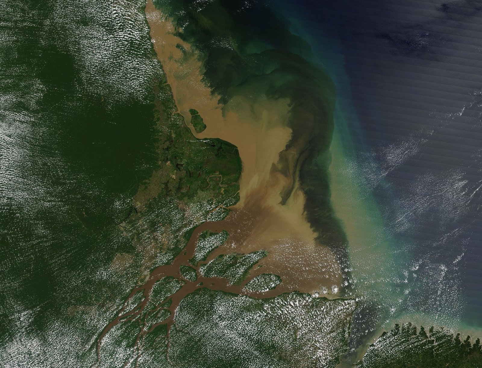 Climate Change: A Looming Shadow Over the Amazon (image credits: wikimedia)