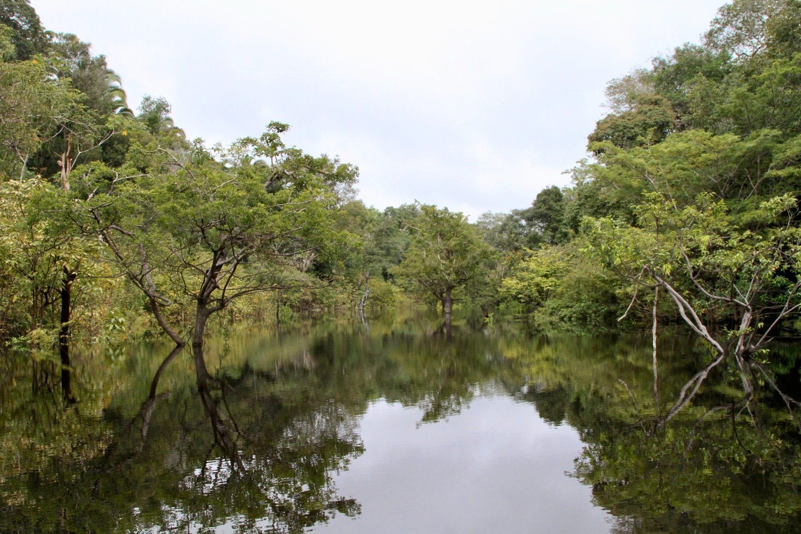 The Power of Citizen Science and Technology (image credits: wikimedia)