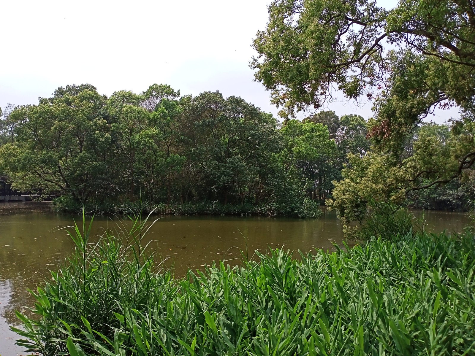 Scientific Support: Ecosystems as Living Systems (image credits: wikimedia)