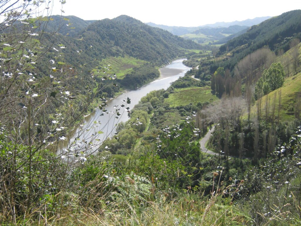 Should a Forest Have Legal Standing? The Radical Conservation Shift Happening in Australia