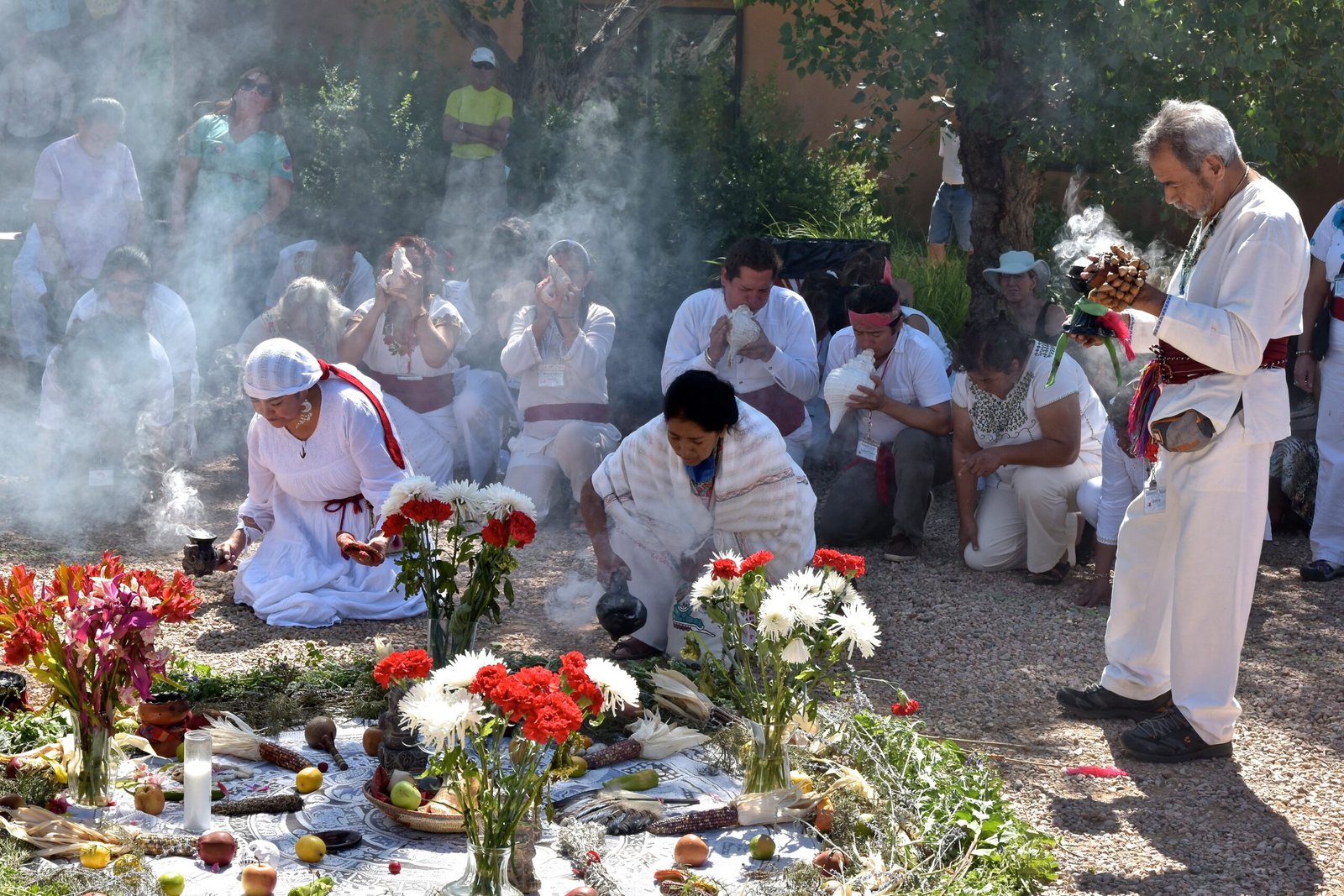 Forgotten Healers: Women and Minorities Erased from History (image credits: wikimedia)