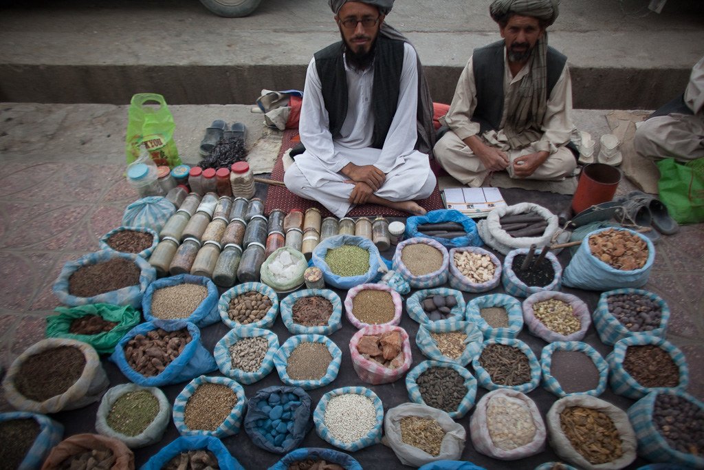 The Renaissance of Ethnobotany: Rediscovering What Was Lost (image credits: flickr)