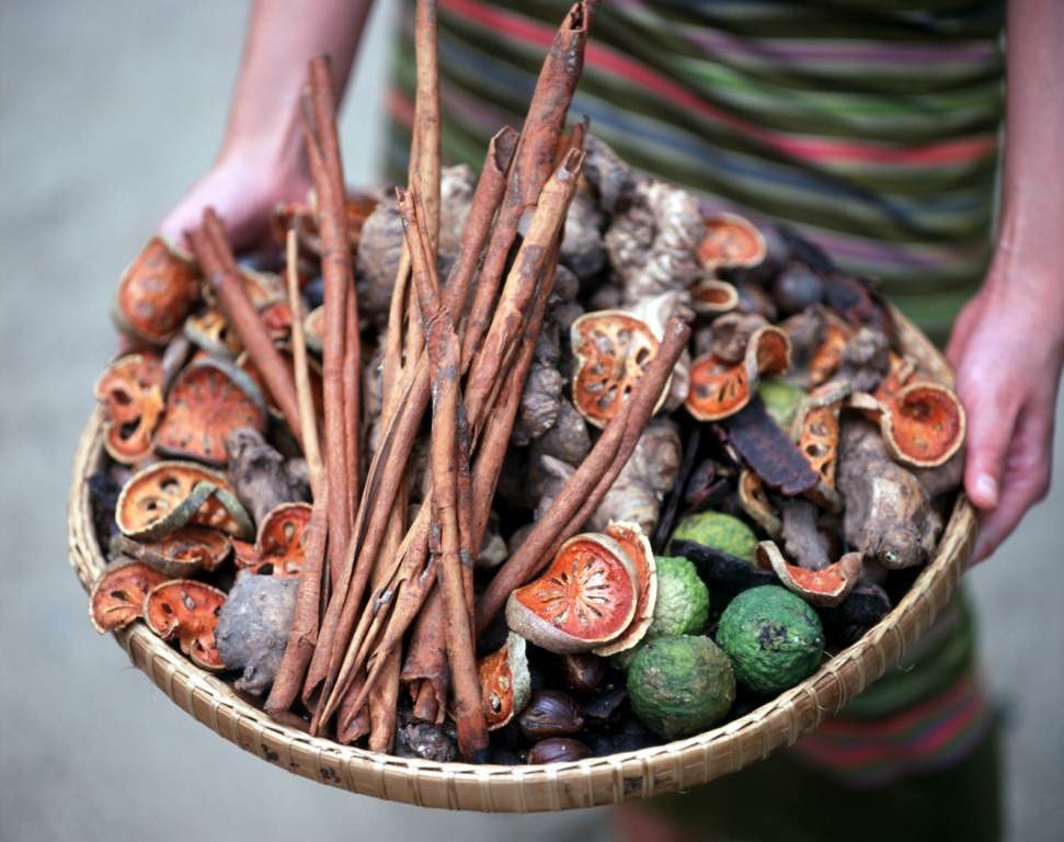 Ayurveda and the Challenges of Modernization (image credits: flickr)