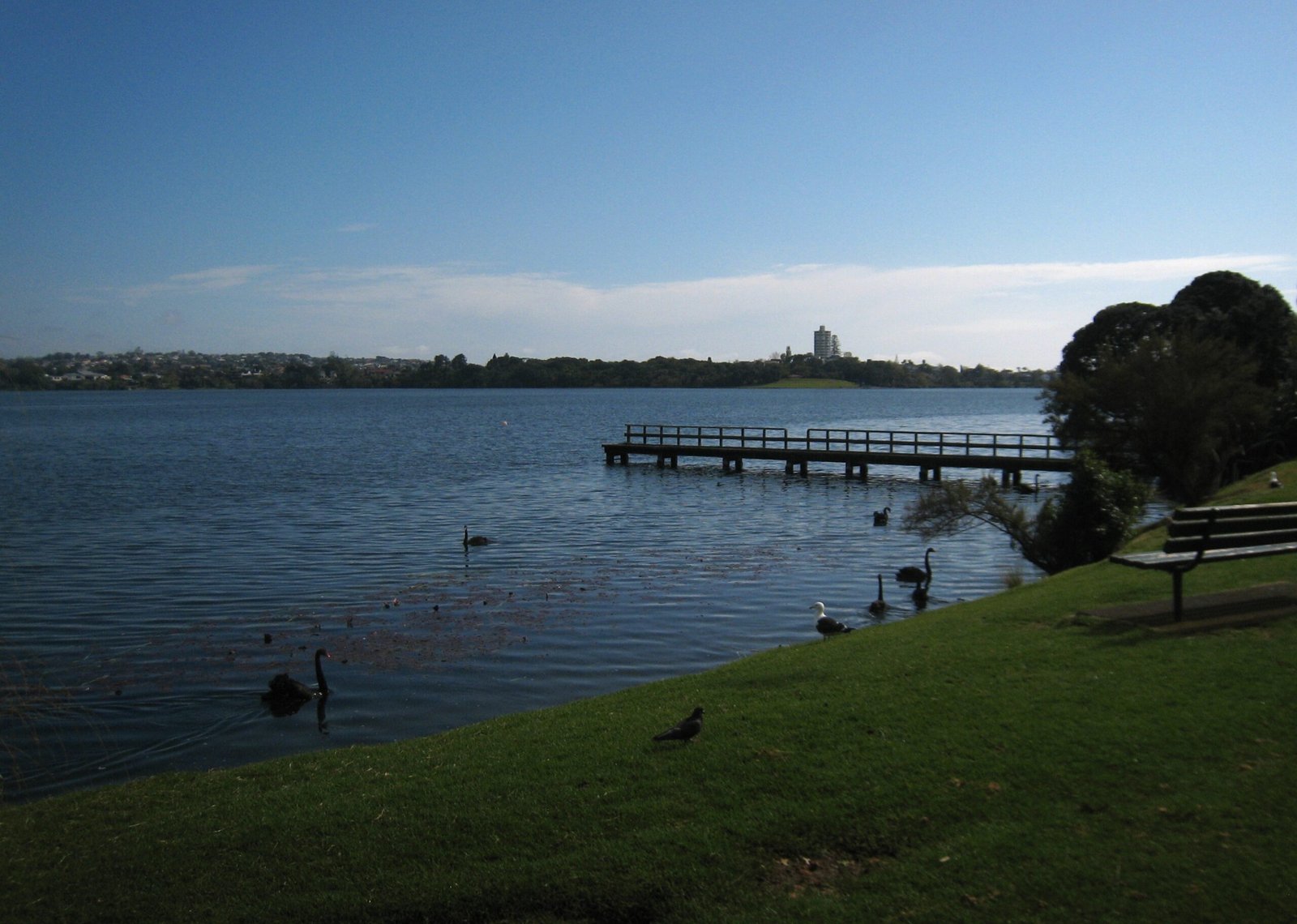 Lake Pupuke: A Volcanic Mirror (image credits: wikimedia)