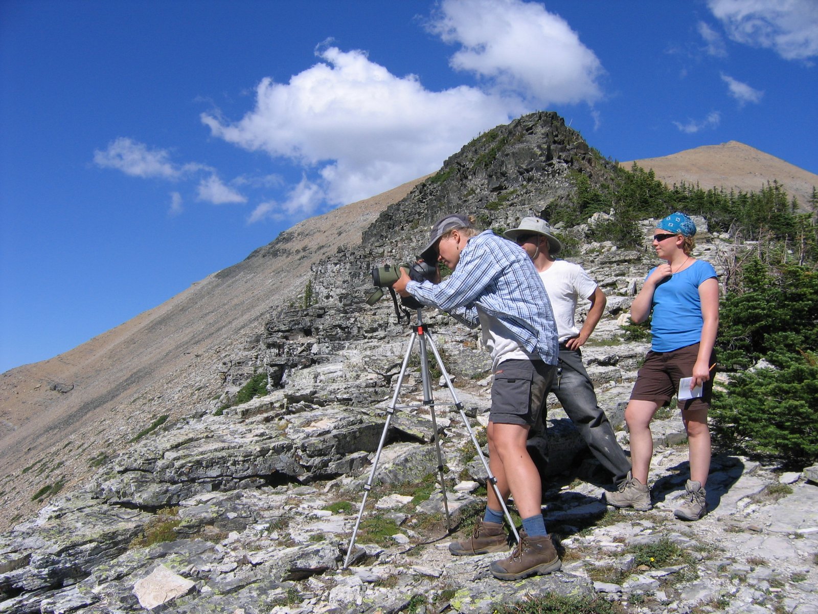 Citizen Science: Everyone Has a Role (image credits: wikimedia)