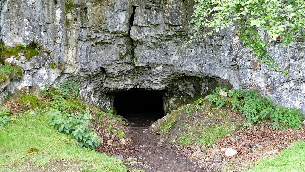 What Lies Beneath: The Power of Hidden Life (image credits: flickr)