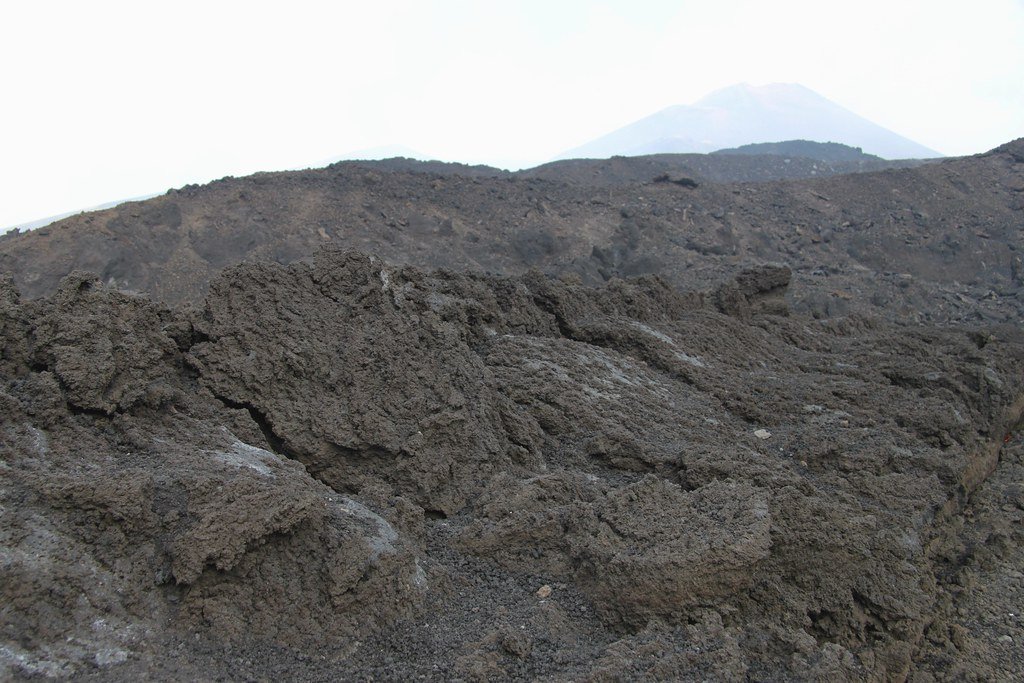 Soil Chemistry and Root Warnings (image credits: flickr)