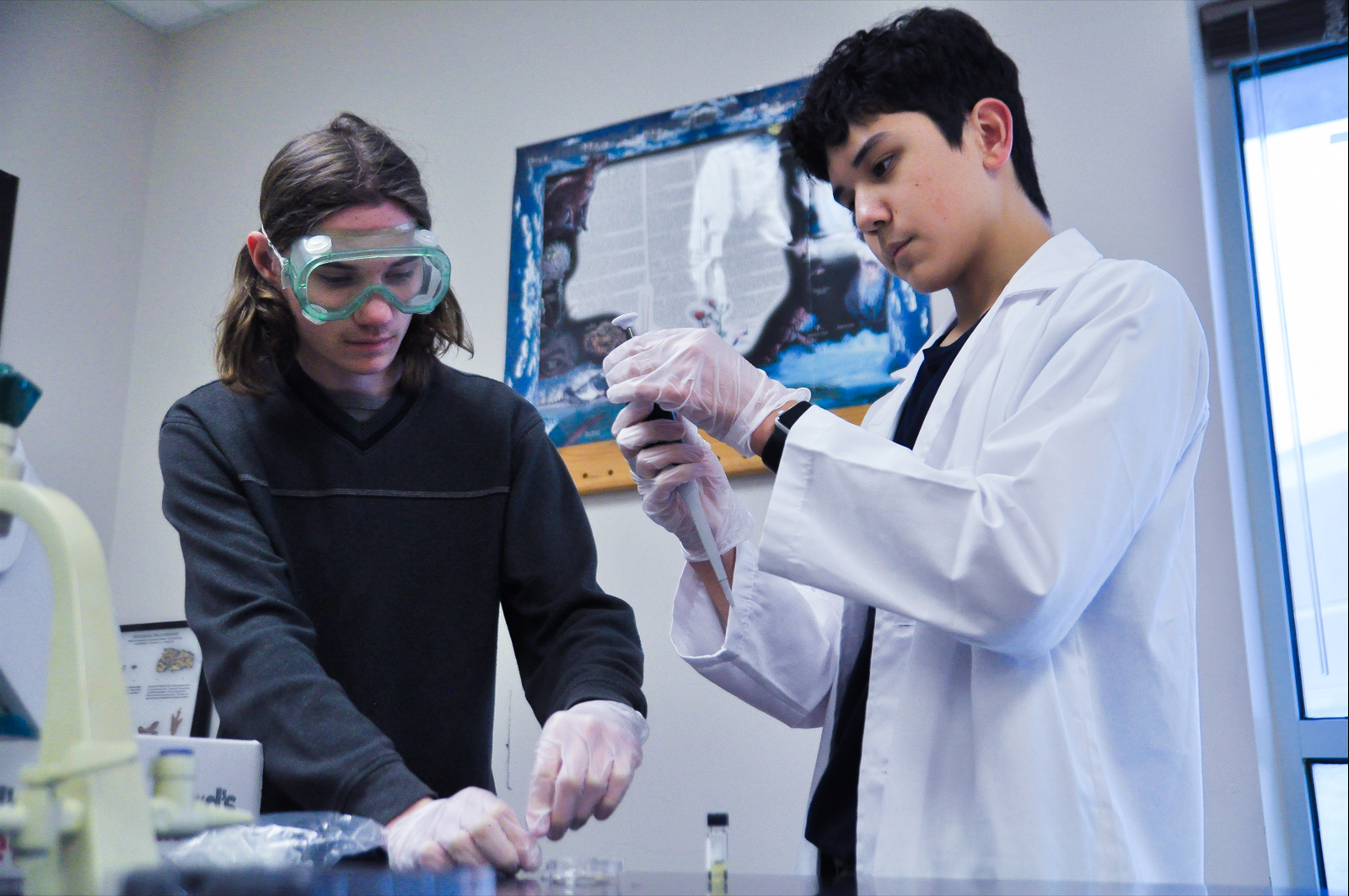 Dr. Temperance Brennan’s Team and the Power of Collaboration (image credits: wikimedia)