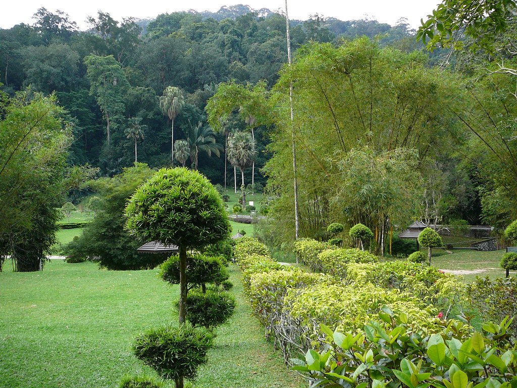 Botanical Gardens as Accidental Gateways (image credits: flickr)