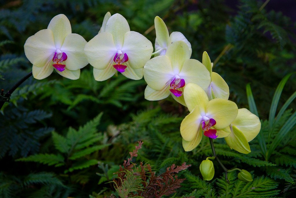 Scientific Sleuths: Tracing the Path of Invaders (image credits: flickr)