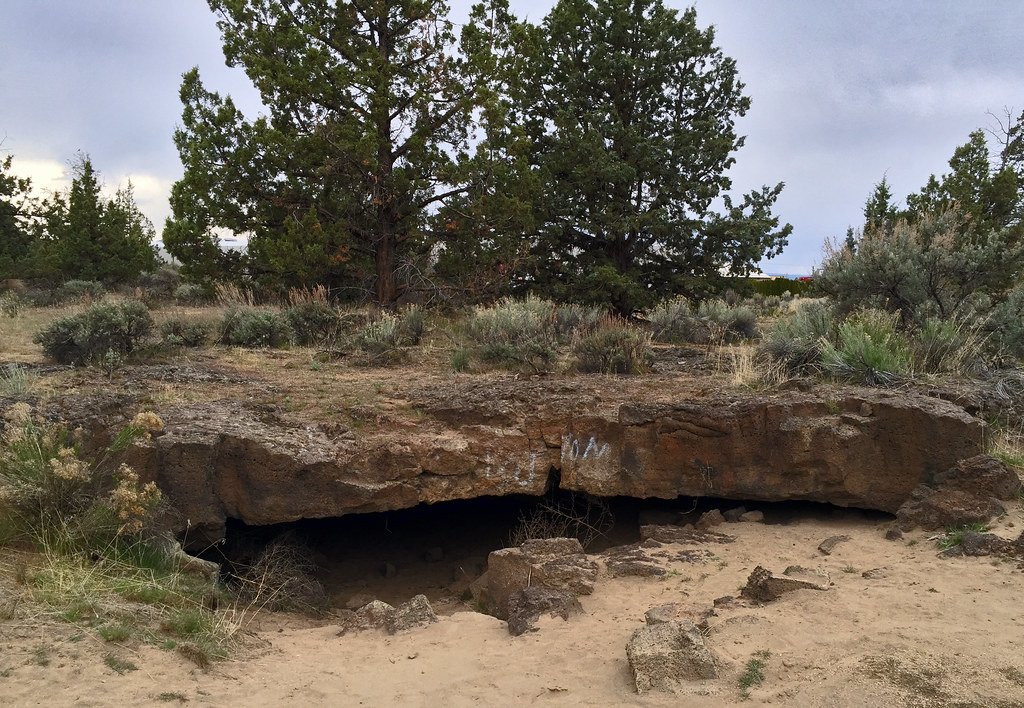 The Ethics of Plant Introduction (image credits: flickr)