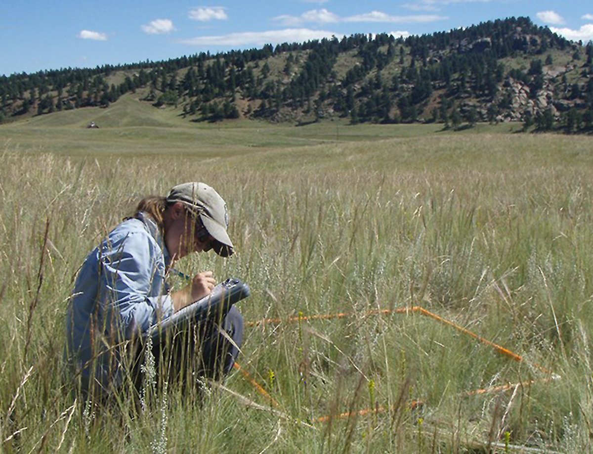 Early Detection: The Race Against Time (image credits: wikimedia)