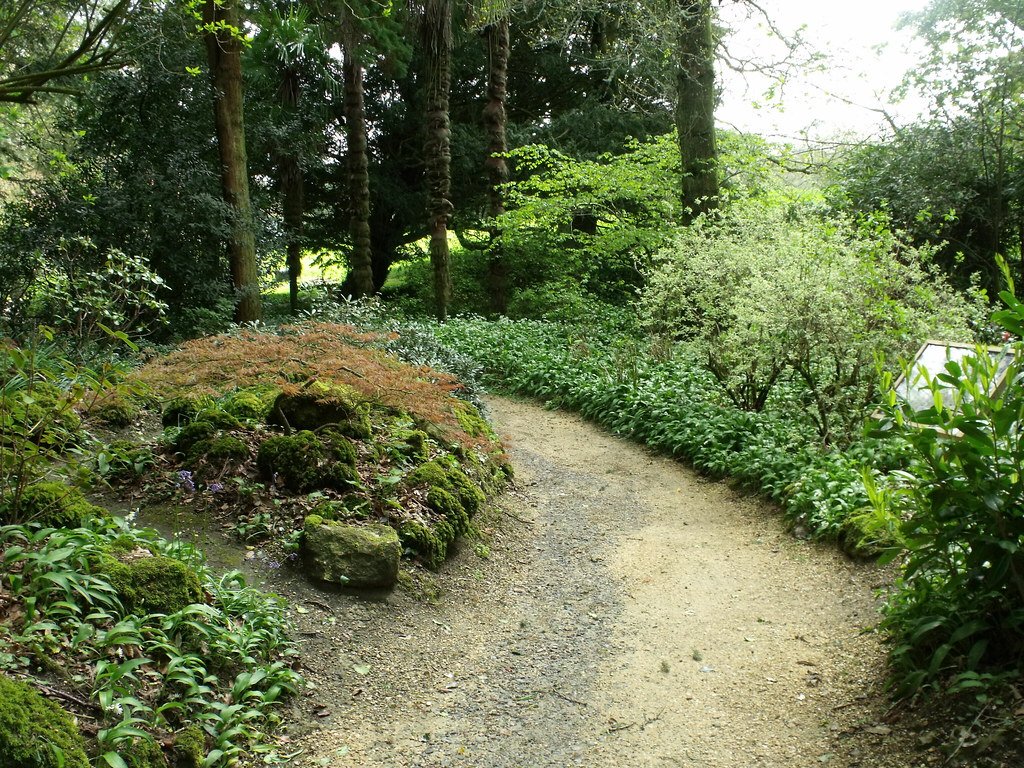 Colorful Camouflage: Himalayan Primulas (image credits: flickr)