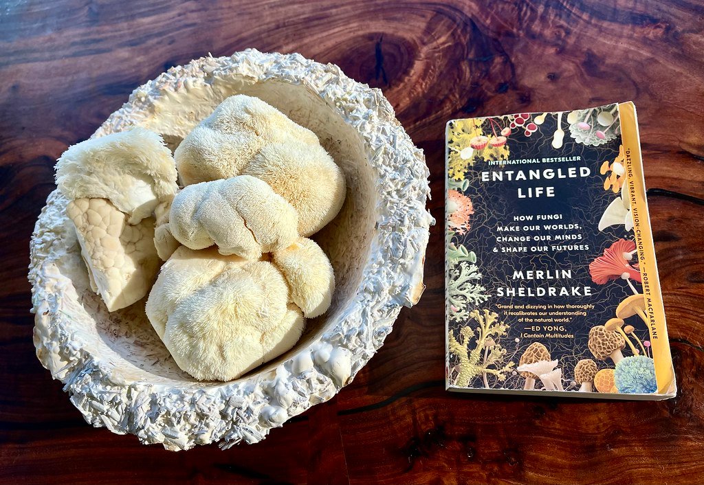 The Survival Challenge in Harsh Space Environments (image credits: flickr)