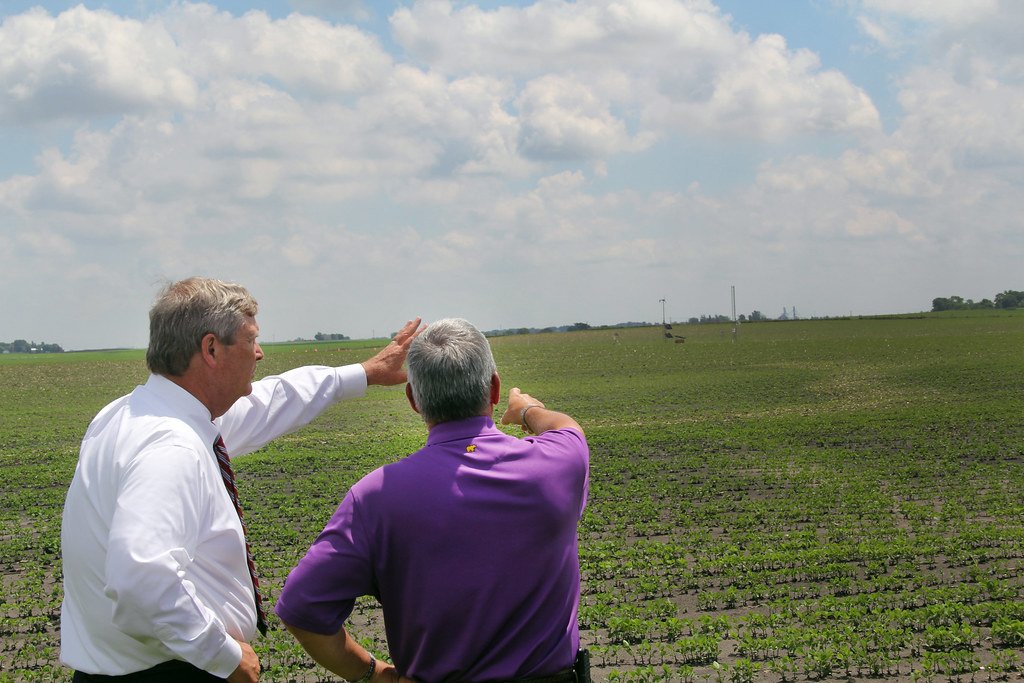 CropVoice: When Plants Finally Get Their Say (image credits: flickr)