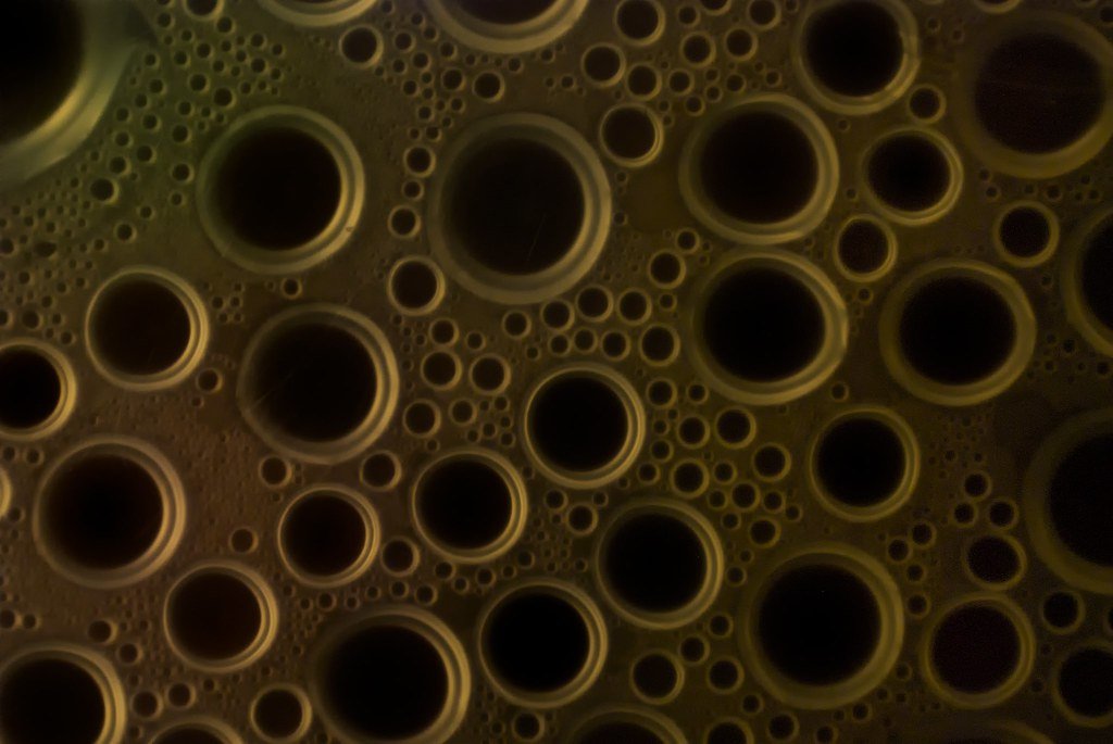 The Molecular Patterns We're Hunting (image credits: flickr)