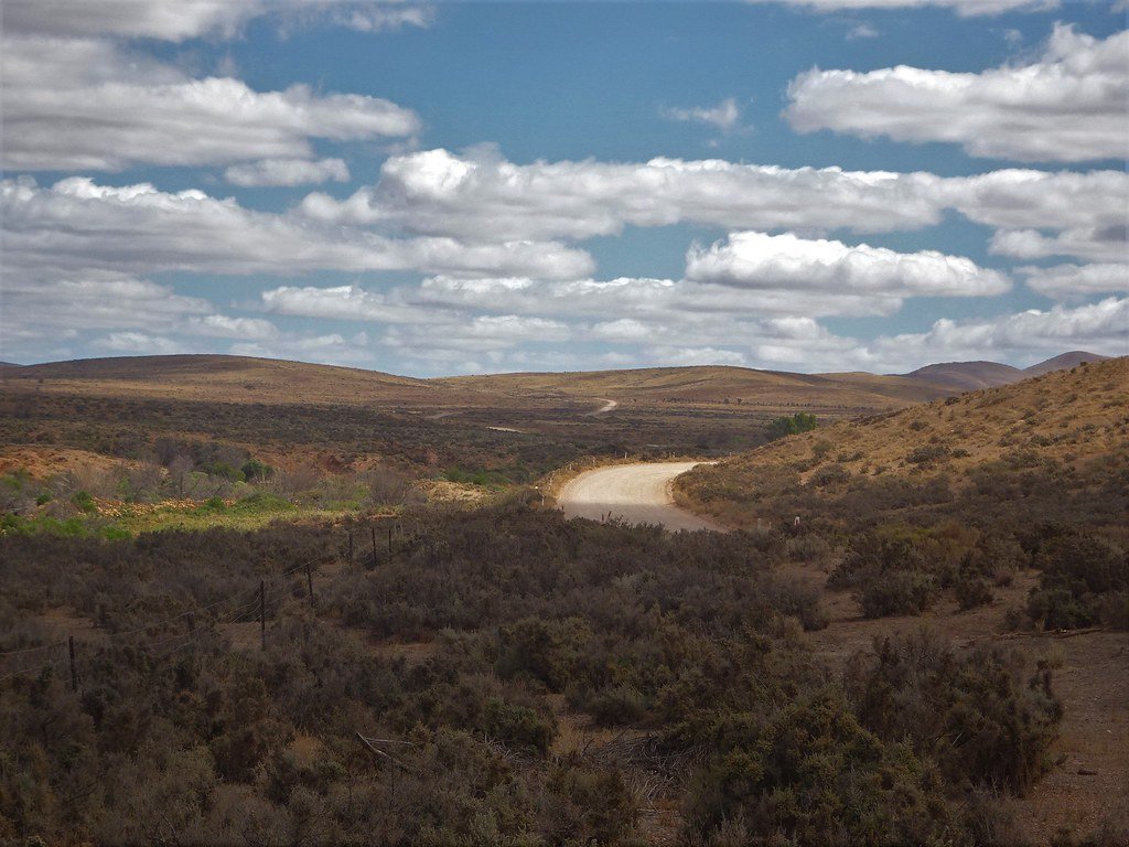 The Giants Among Us: When Australia Was Supersized (image credits: flickr)