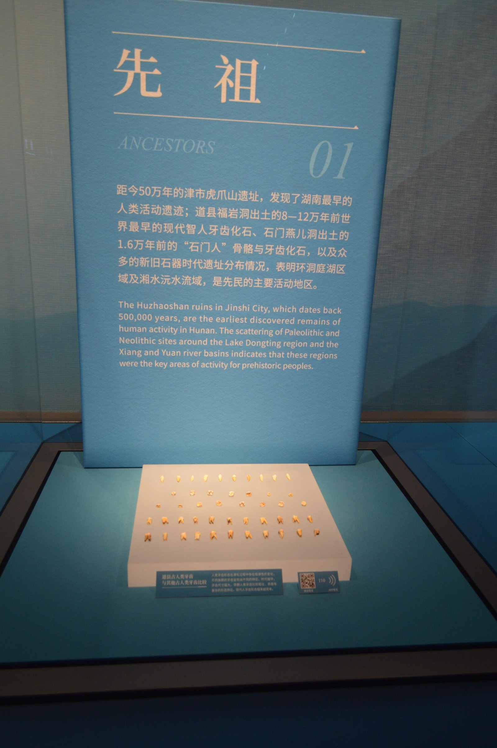 Chemical Signatures That Tell Stories of Ancient Migrations (image credits: wikimedia)