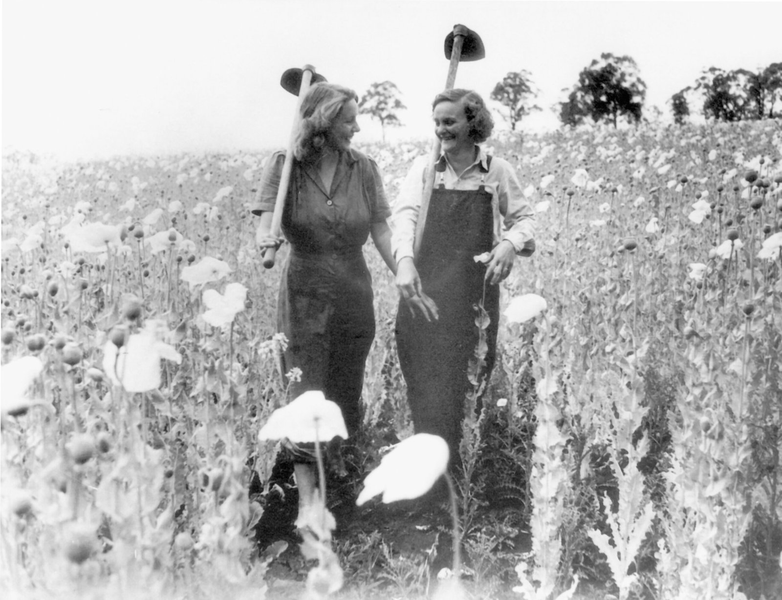 Ancient Beliefs and Modern Science: The Lunar Legacy (image credits: wikimedia)