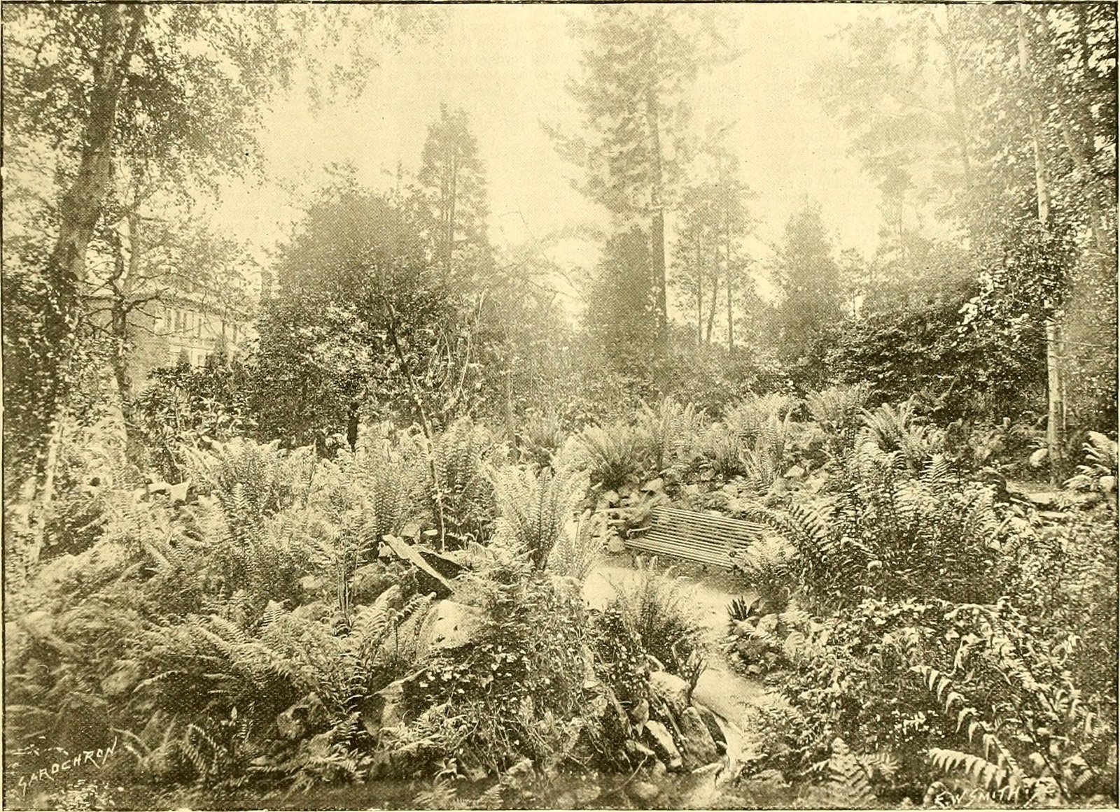 Beyond the Earth: Plants and Moonlight in Space (image credits: wikimedia)