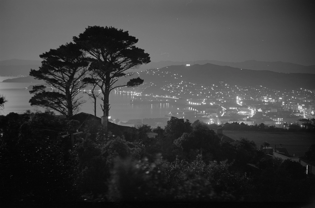 The Moon’s Gift: A Reminder of Nature’s Subtle Wonders (image credits: rawpixel)