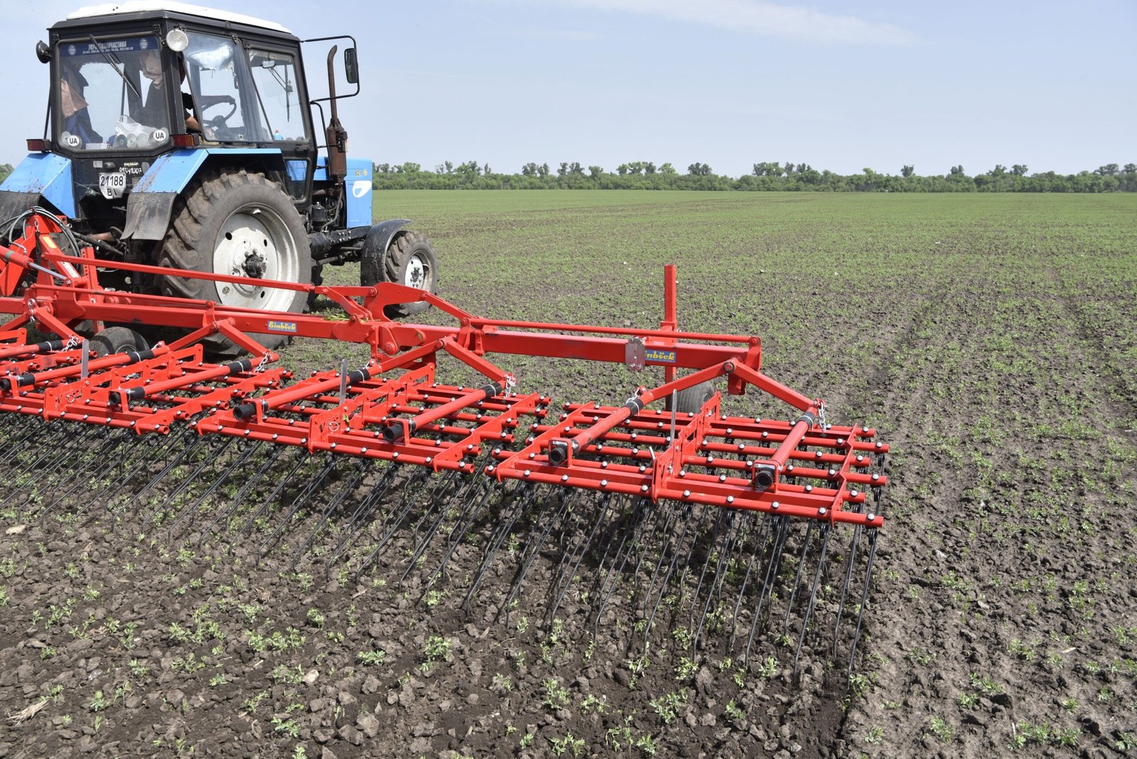 Labor Transformation in Southern Agriculture (image credits: wikimedia)