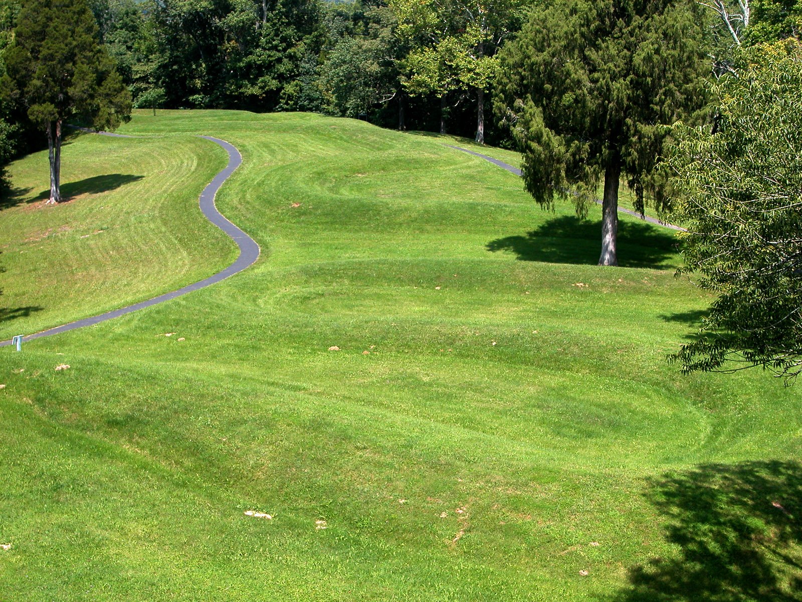 The Summer Solstice Revelation (image credits: wikimedia)