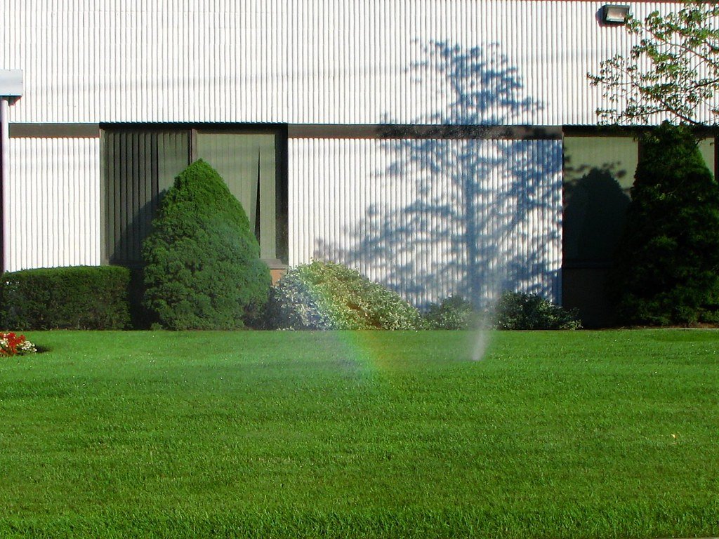 The Hidden Truth About Perfect Lawns (image credits: flickr)