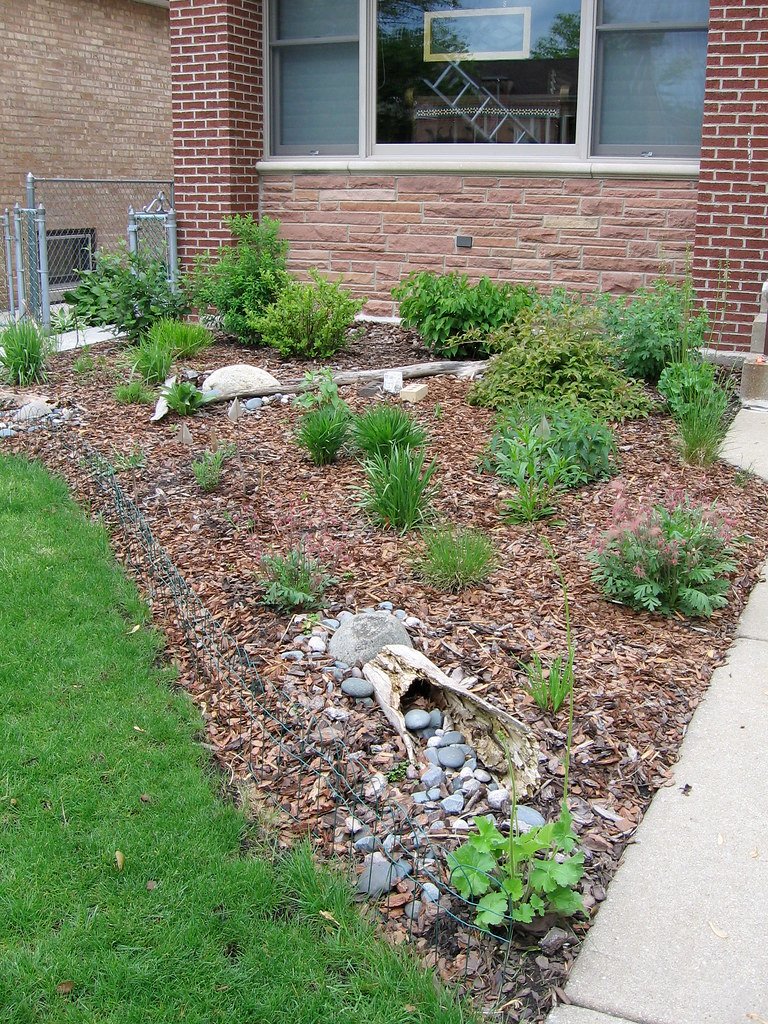 Native Plants: Your Lawn's Missing Puzzle Pieces (image credits: flickr)