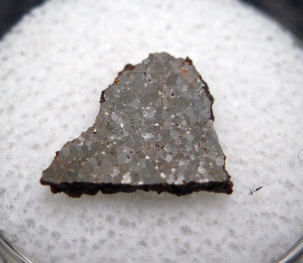 The Chassignites: Mars' Rarest Messengers (image credits: flickr)