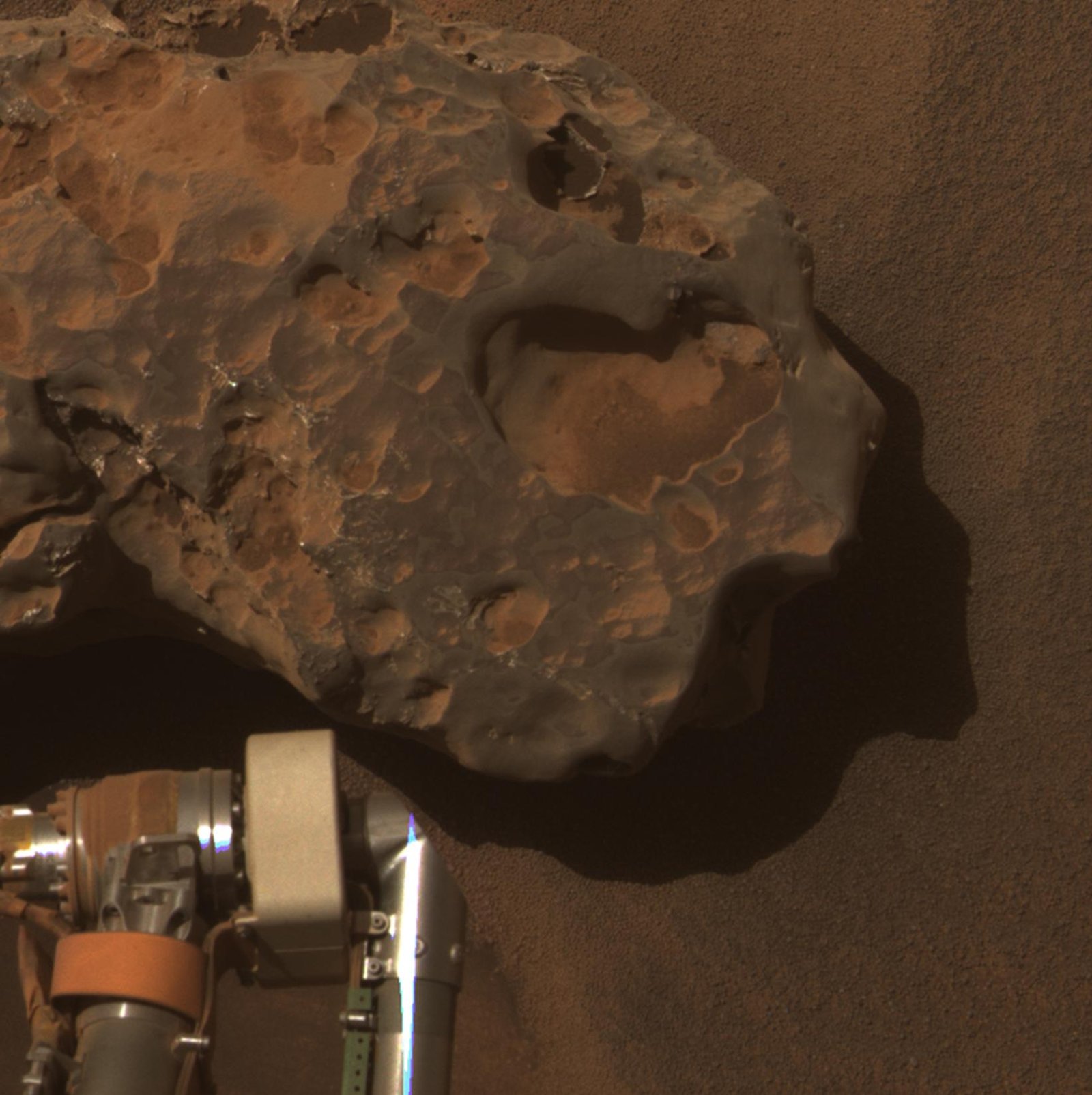 The Life on Mars Controversy (image credits: wikimedia)