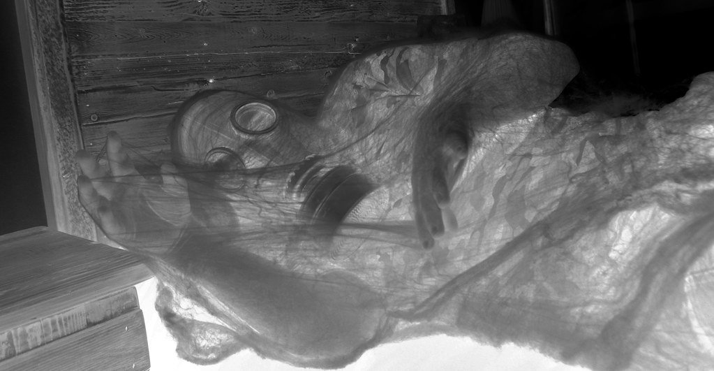 Could Aliens Change Gender at Will? (image credits: flickr)