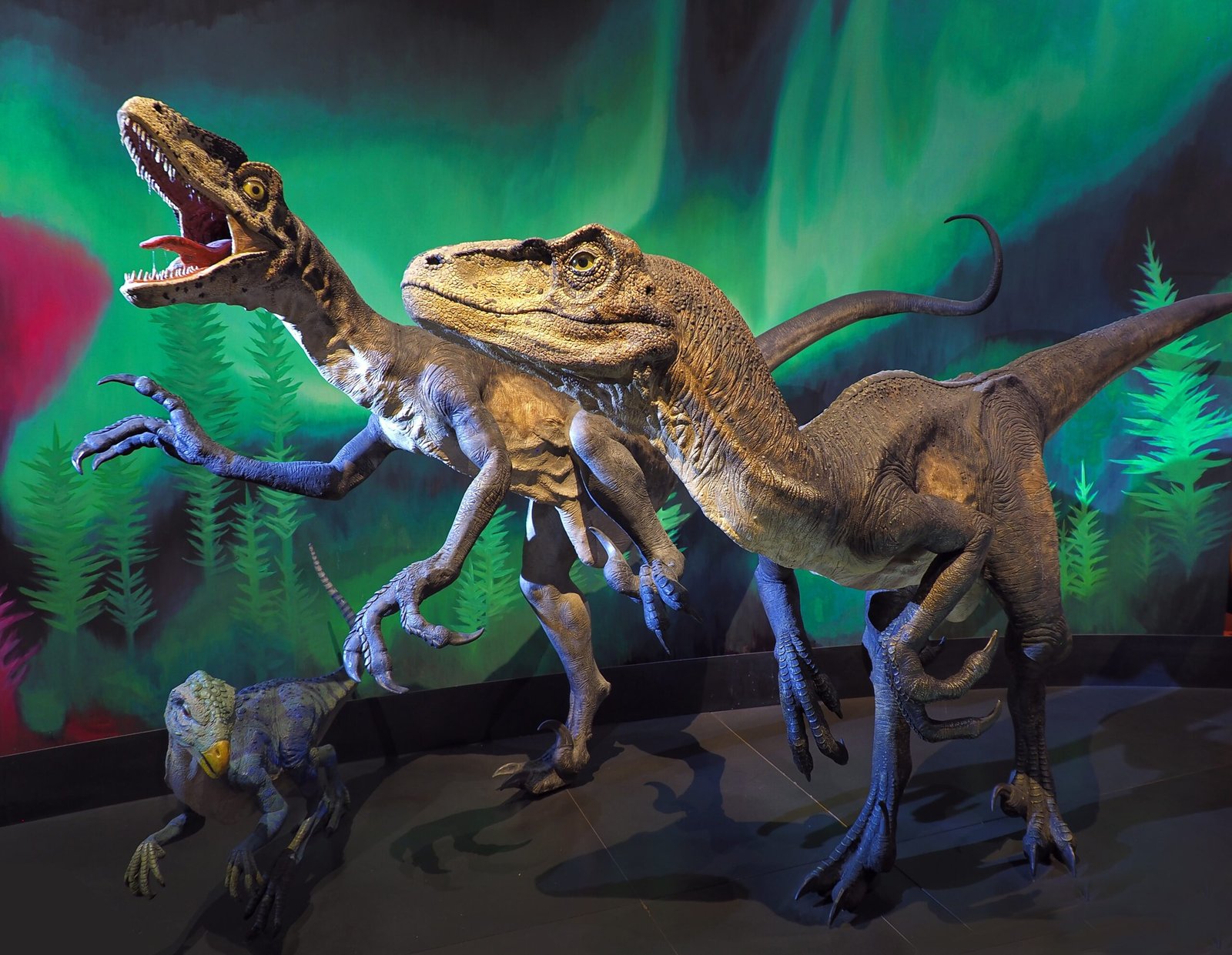 The Persistent Predator: Deinonychus antirrhopus (image credits: wikimedia)