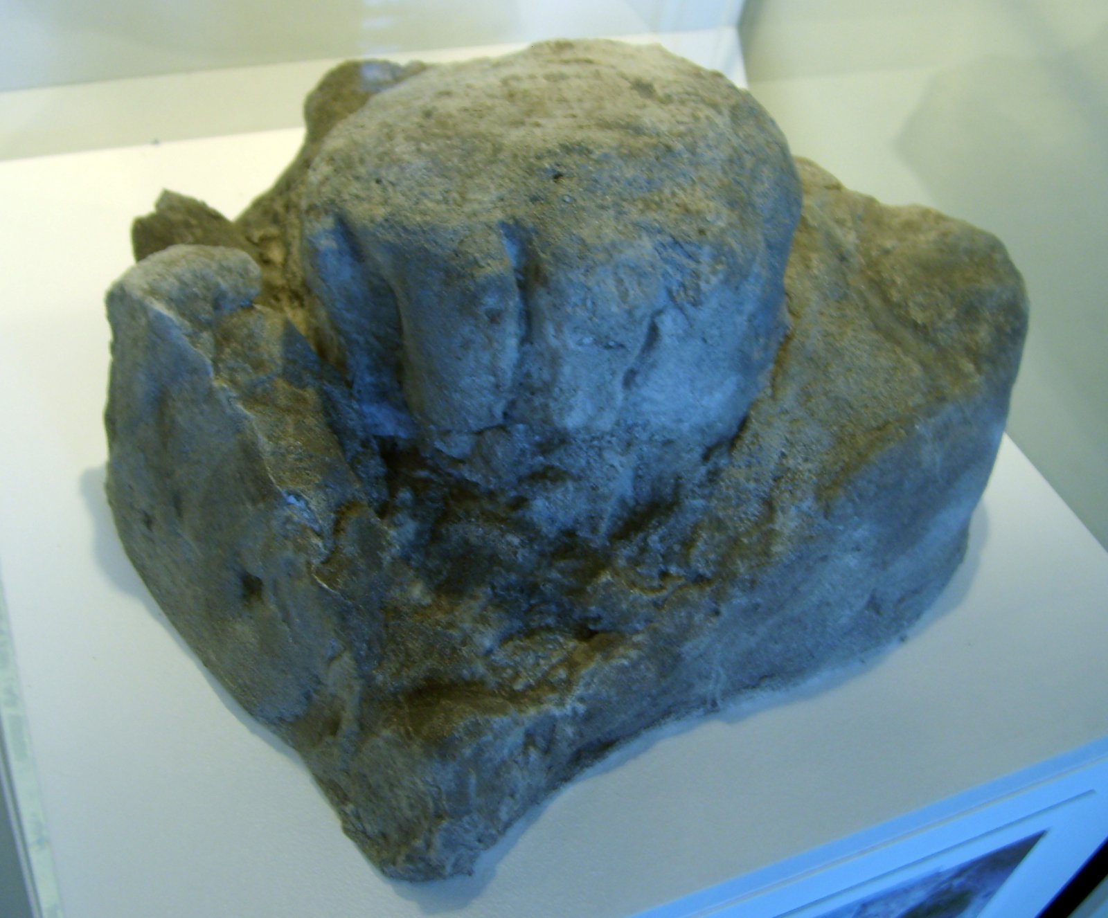 Tracking Ancient Footsteps (image credits: wikimedia)
