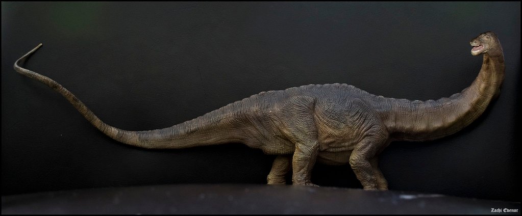 The Great Predator-Prey Drama (image credits: flickr)