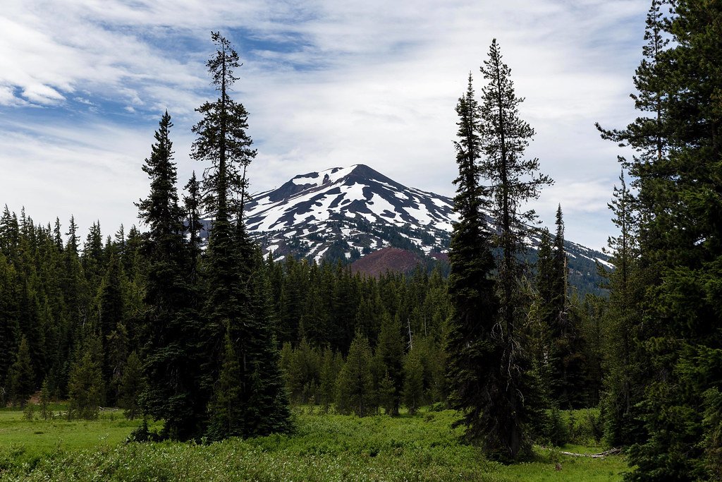 Pacific Northwest: Where Natives Love the Rain Dance (image credits: flickr)