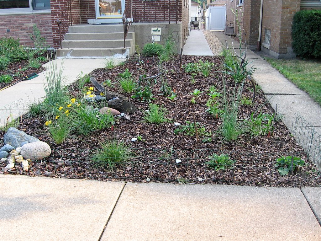 Design Secrets: Making Native Plants Look Intentional (Not Wild) (image credits: flickr)