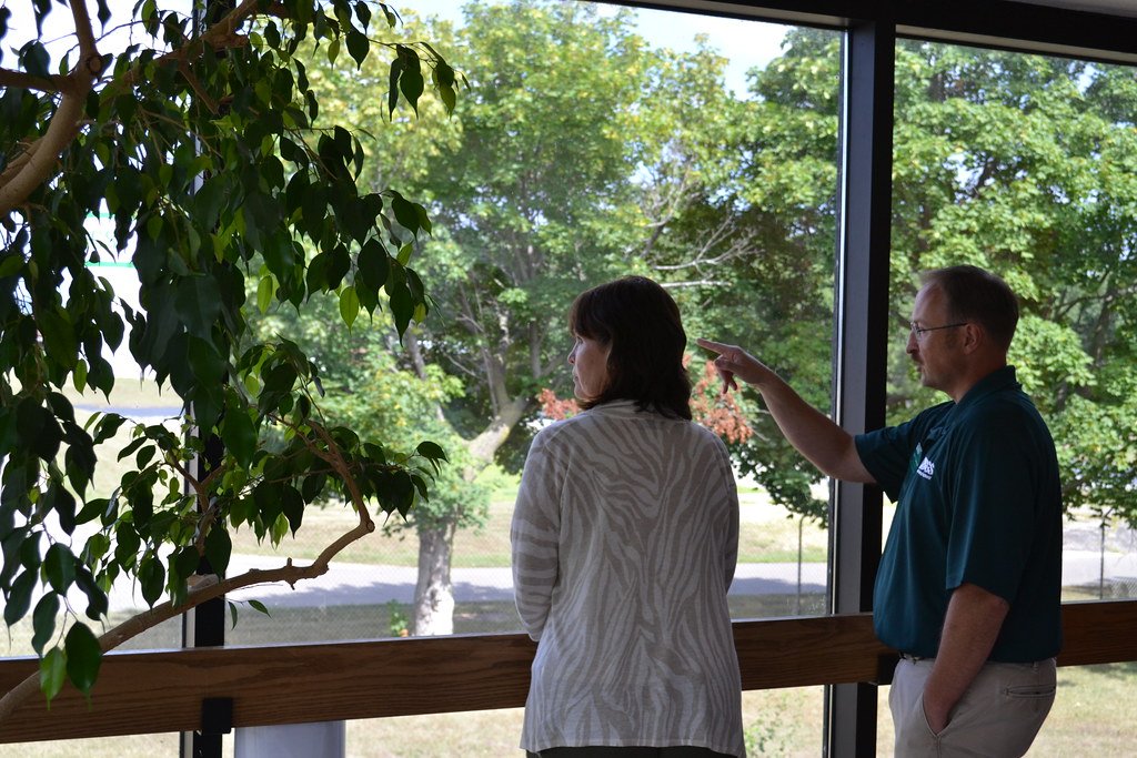 Scientific Research and International Accreditation (image credits: flickr)