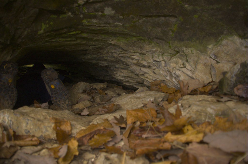 Climate Change: Are Breathing Patterns Shifting? (image credits: flickr)