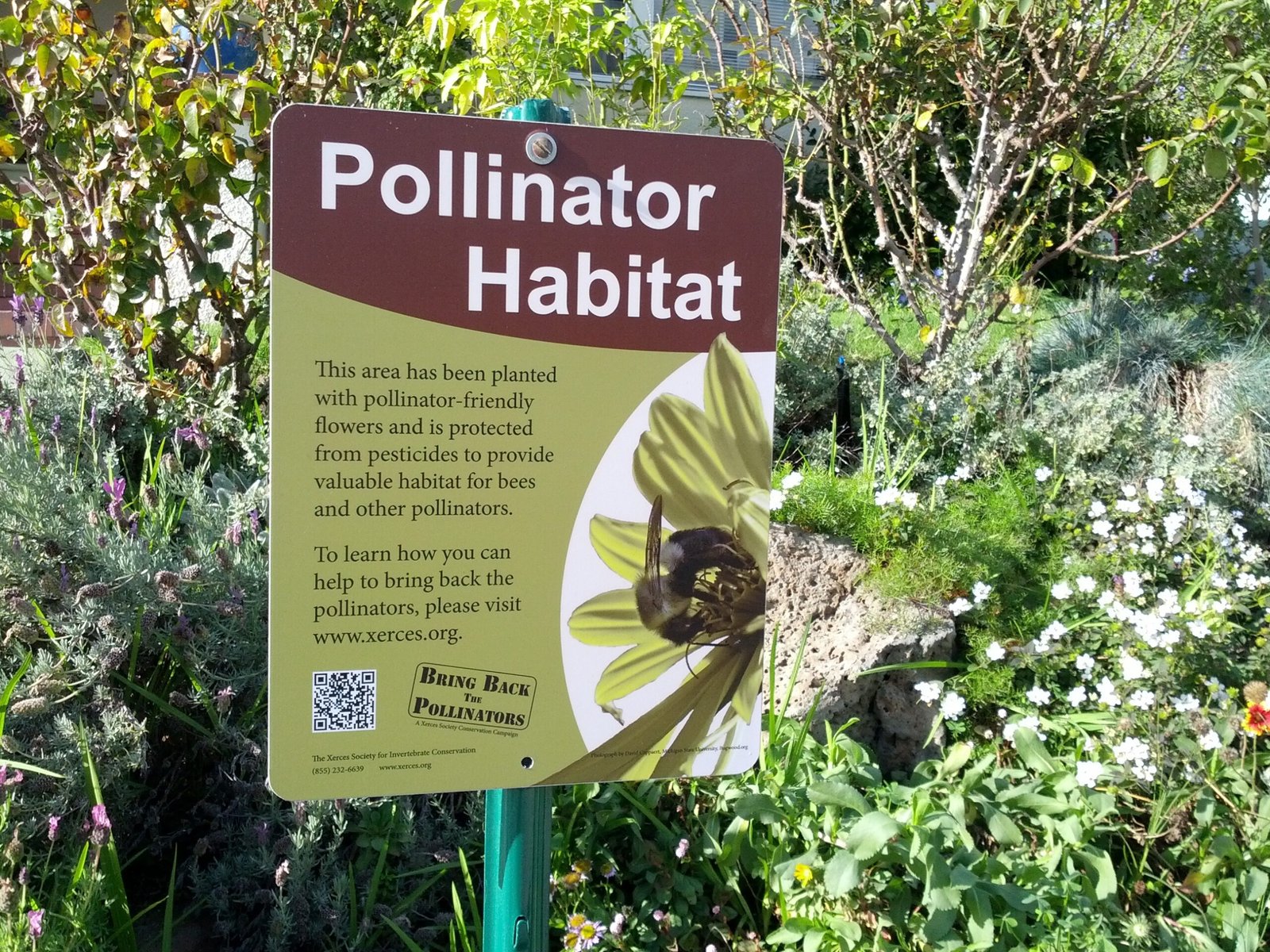 Beyond Flowers: Creating Complete Habitat (image credits: wikimedia)