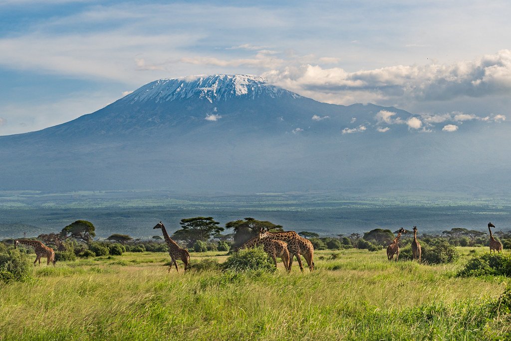 The Icy Crown of Kilimanjaro (image credits: flickr)