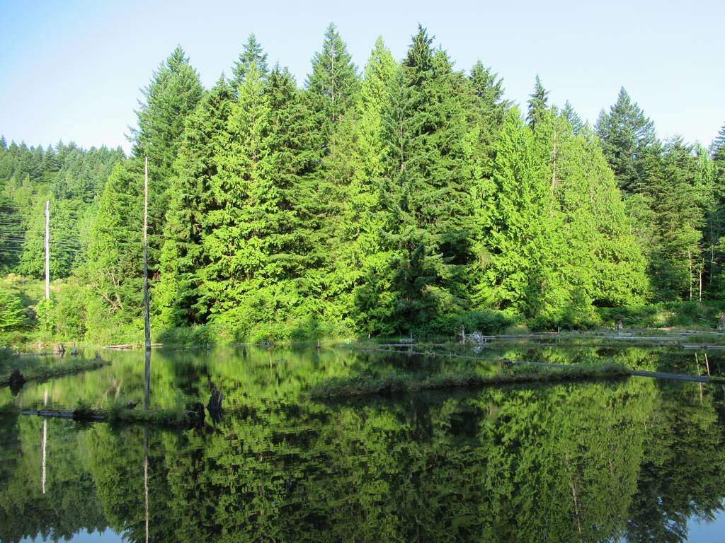 Lessons for the World (image credits: flickr)